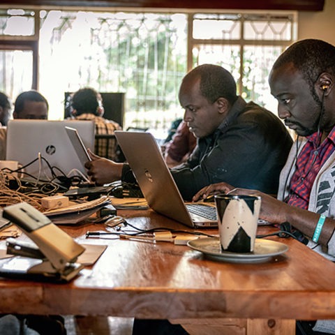 Développeurs, Lynk ©Backdrop